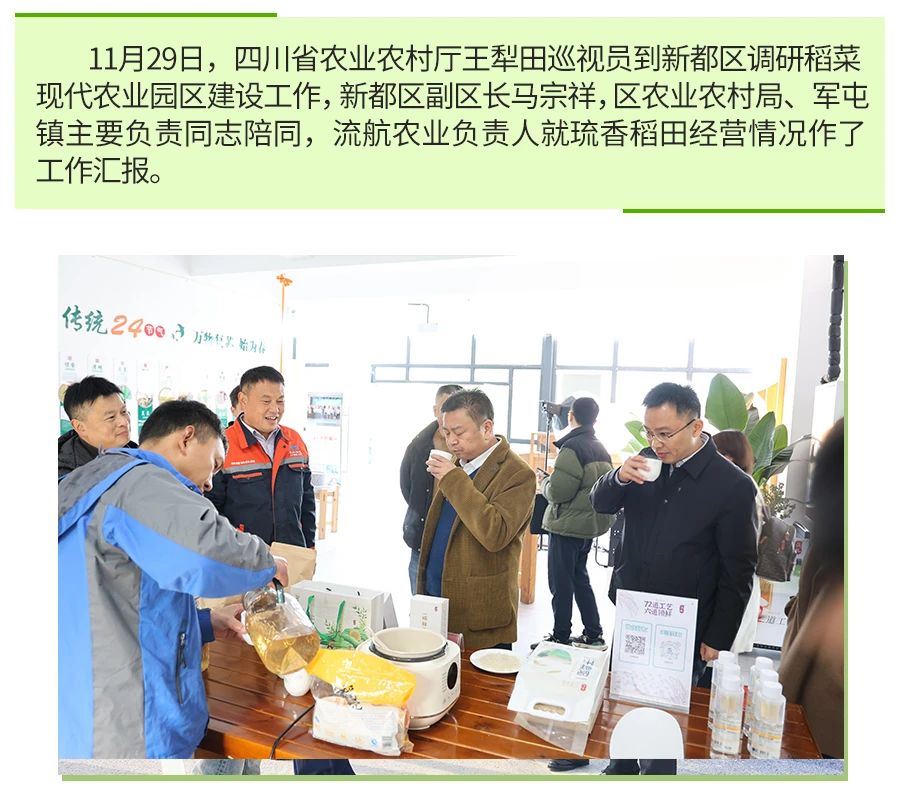 Daoxiang Modern Agricultural Planting Base