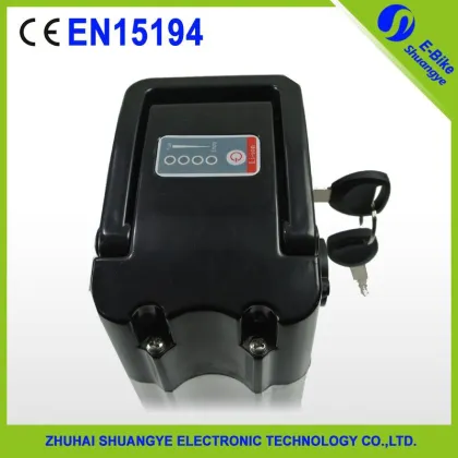 Green power shuangye lithium electric bike battery