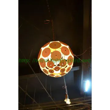 Modern household wood pendant  lighting