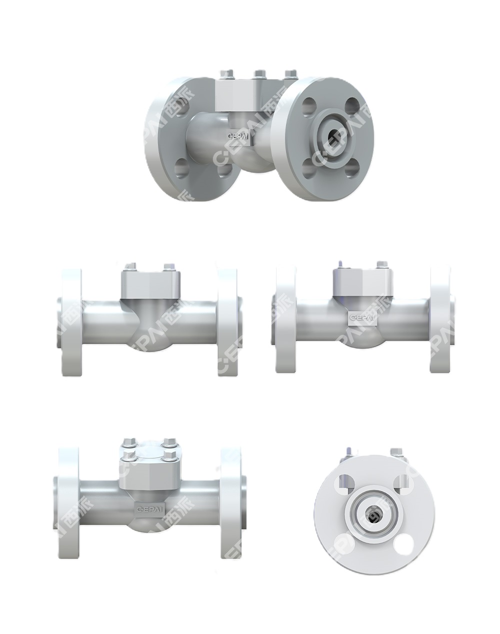 Casting Lift Check Valve0