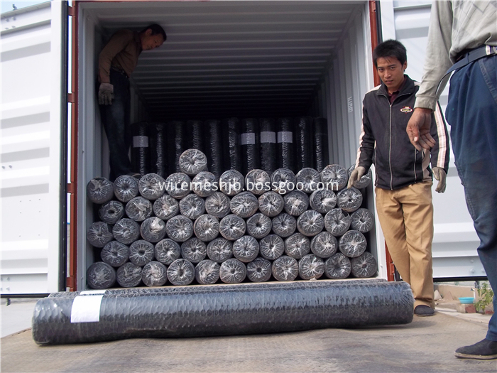 Galvanized Hexagonal Wire Mesh