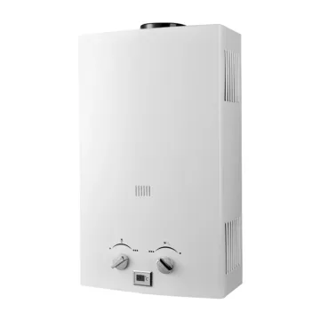 Wall Mounted Household Flue Type Gas Water Heater