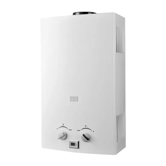 Wall Mounted Household Flue Type Gas Water Heater