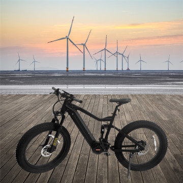 New Electric Bike New Model Bicycle elettrico