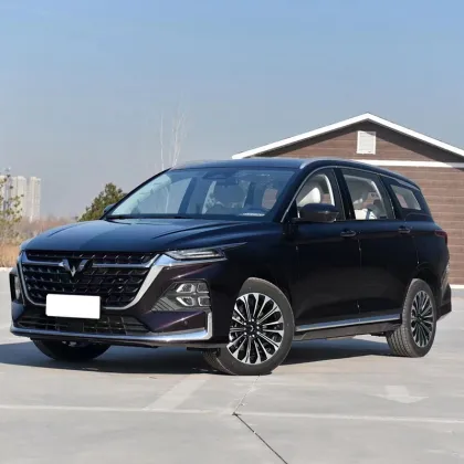 2024 New Electric Cars and Used Vehicles: Wuling Mini, Honda, Volkswagen, Nissan, Zeekr, Geely