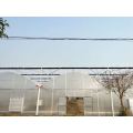 Agricultural intelligent film multi span tomato greenhouse