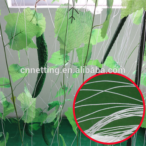rede de suporte de colheita fotossíntese Trellis Net