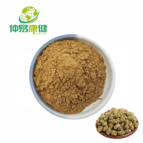 Dendrobium Extract Dendrobium Concentrated Powder