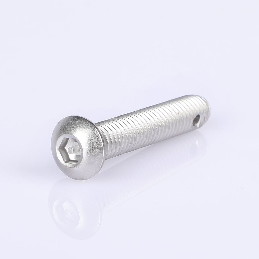 Stainless steel anti-theft screws (9)