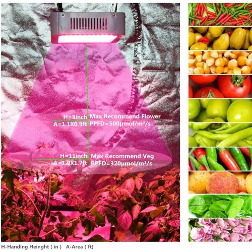 Το καλύτερο cob led grow light 2019