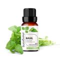 100% Pure natural organic basil essential oil