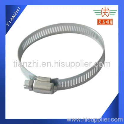 Hose Clamps 