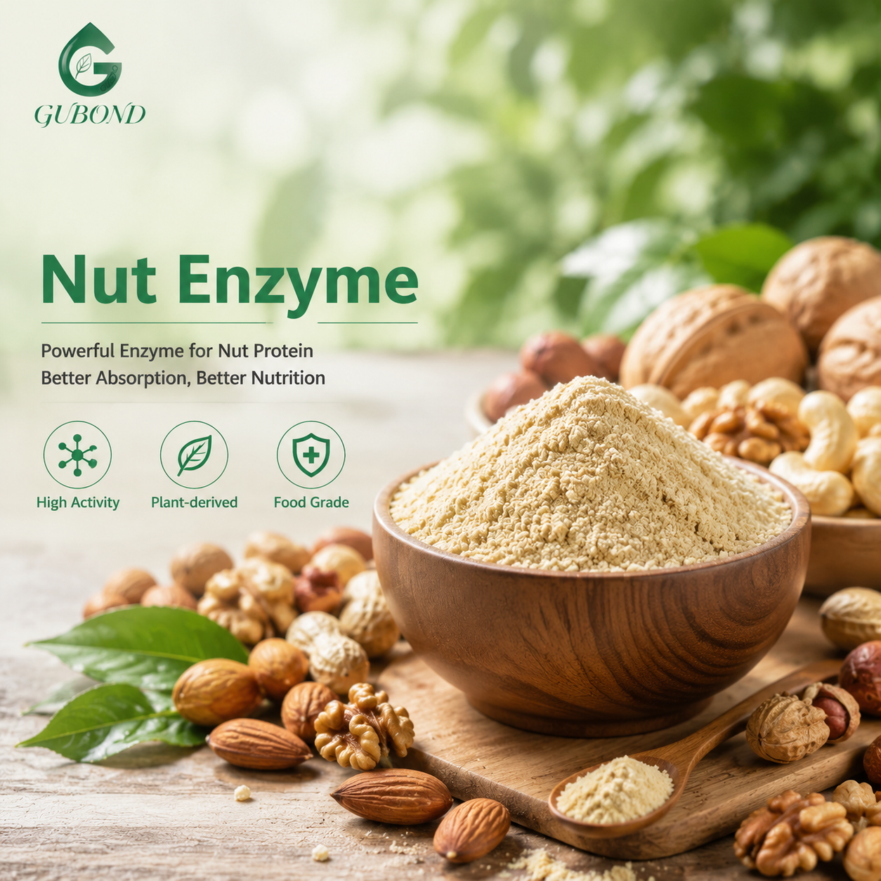 Nut Enzyme
