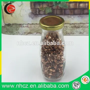 Rose Gold Push Pin in Jar for Gift