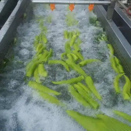 Vegetable and Fruit Cleaning Machine
