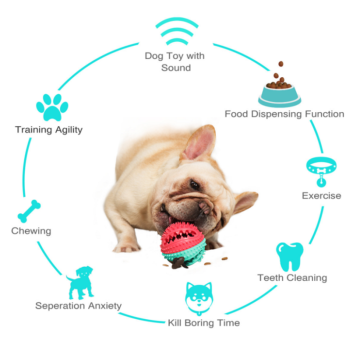 Dog Feeders Voice Leakage Of The Ball Details 1