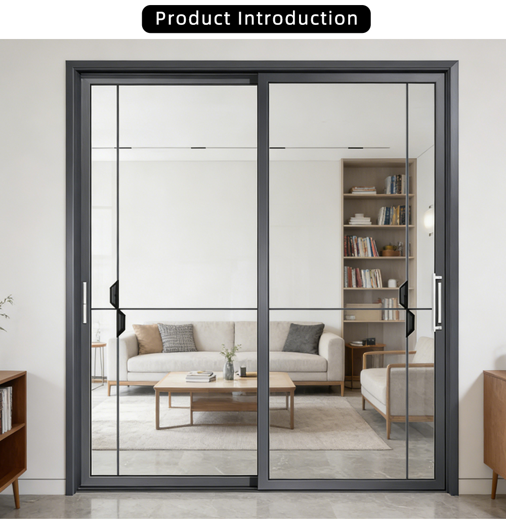 Modern Minimalist Two Panel Glass Sliding Door YJ-P047