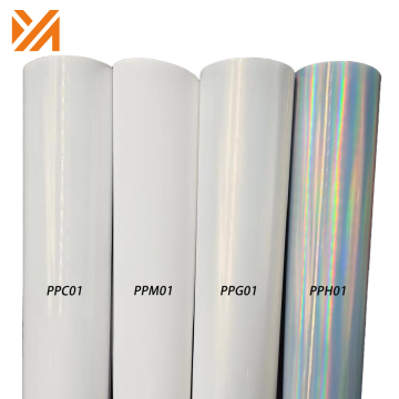 Professional Air Bubble-Free PVC and PP Sticker Vinyl Film Rolls for Inkjet Printing