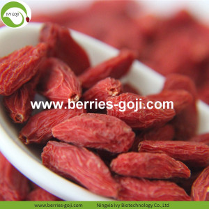 Perda de peso seco, natural, saudável, tibetano, Goji, bagas