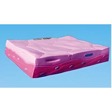 একক স্তর ফ্ল্যাট এপিথেলিয়াল টিস্যু মডেল