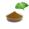 Ginkgo biloba extract powder for sale