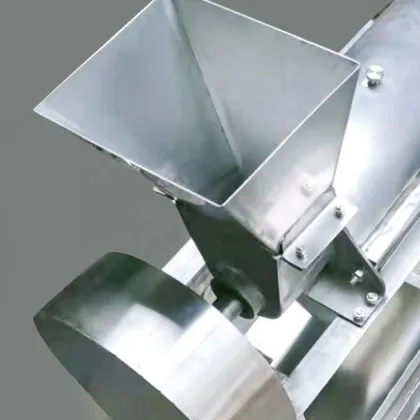 Cold Pressed 1KW Carrot Aloe Vera Juice Extractor & Cashew Juice Machine (Commercial)