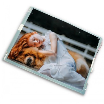 10.4 Inch TM104SCH01 LCD Module: 800x600 Resolution Display Panel