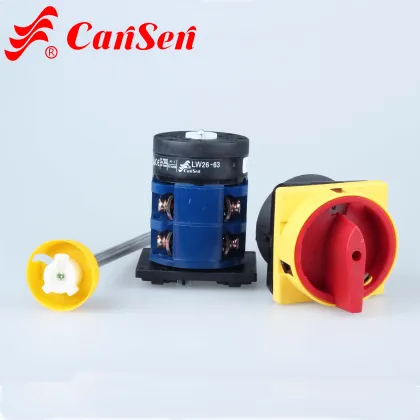 Cantak LW30-20 300040 Replacement KG41 Kraus&Naimer Switch