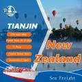 Ocean Freight from Tianjin to NewZealand