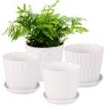 5.5 Inch Cylinder Ceramic Planters with Connected Saucer