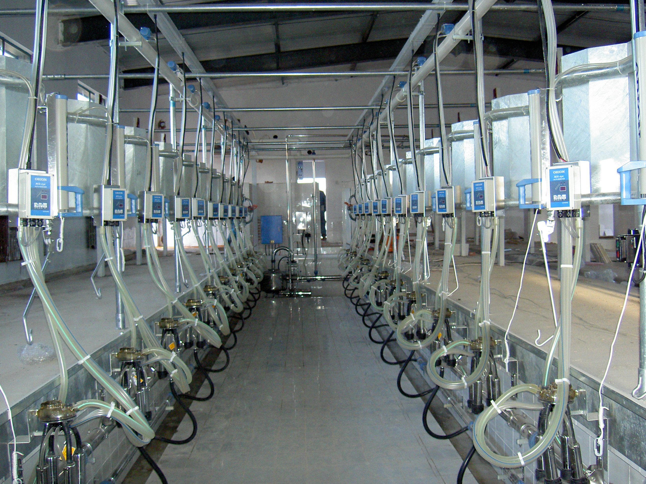 milking parlor