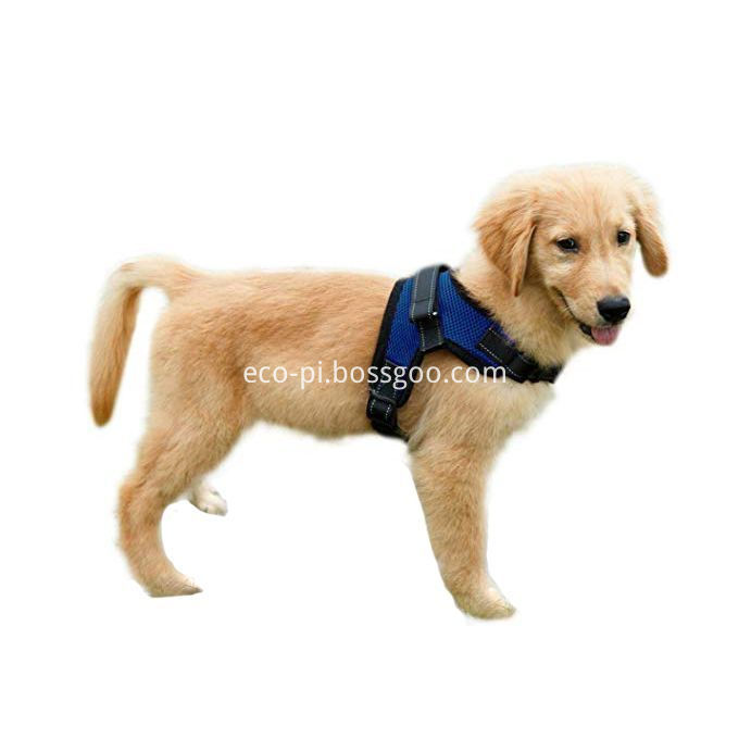 1566912413-best-harnesses-for-puppies-copatchy-no-pull-1566912392