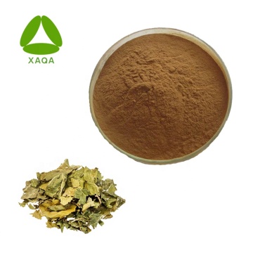 1-deoxynojirimycin DNJ 10%Mulberry Leaf Extract Powder