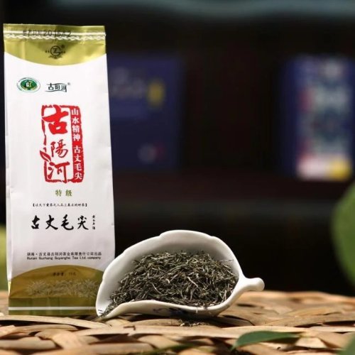Primeiro chá verde da montanha alta chinesa de Maojian