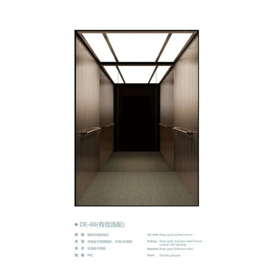 Price for Passenger Elevator 800kg Capacity