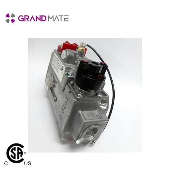 pressure regulator LPG bbq oven gas control valve