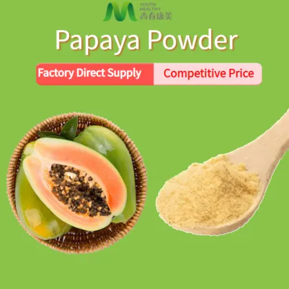 Raw Green Papaya Powder Good Price