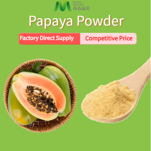 Rohes grünes Papaya -Pulver guter Preis