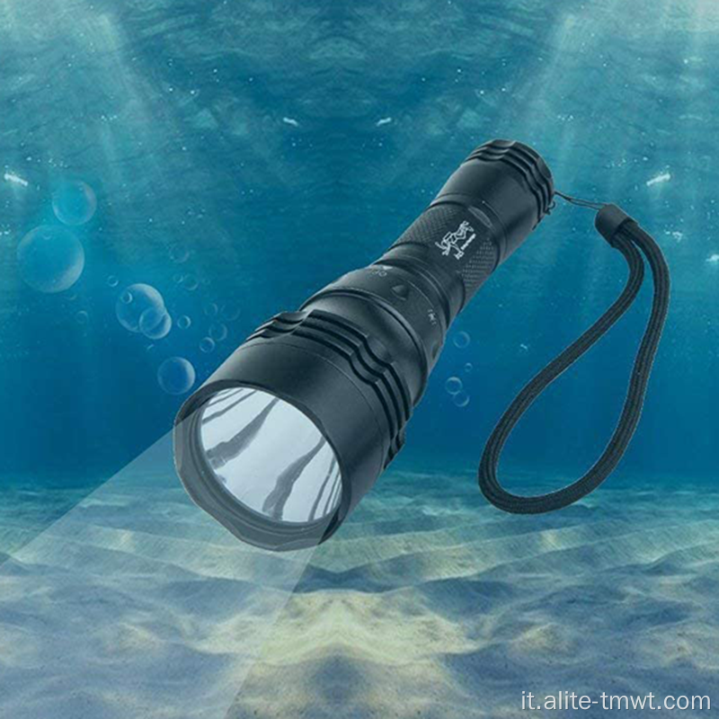 Torcia torcia per la torcia per la torcia per immersioni a LED a LED subacquea