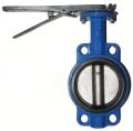 A395 A536 DI Butterfly Valve Rubber EPDM/NBR/FKM/Viton -stoel