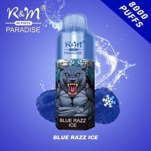 Factory Price R&M PARADISE 8K Disposable