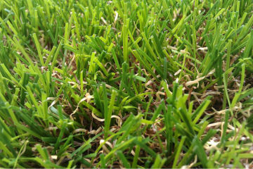 Artificial Grass Synthetic Grass for Outdoor Roofing