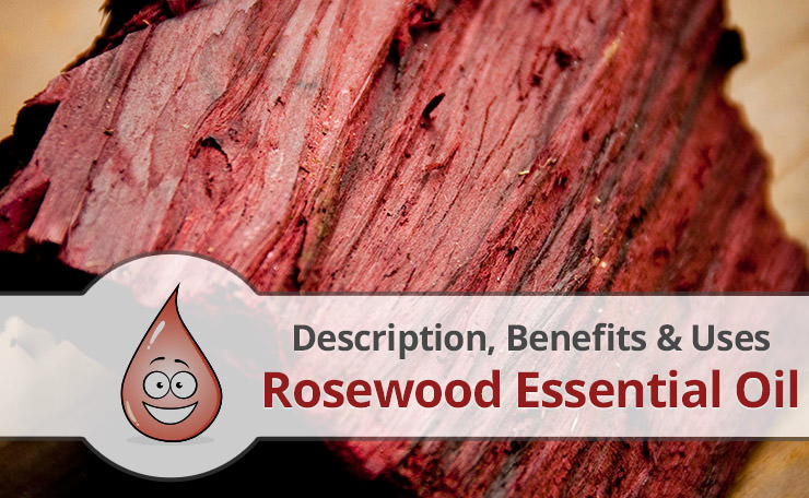 rosewood oil 6