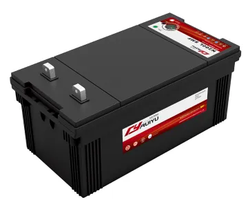 Shandong Ruiyu RUIYU Battery SMF Car Battery N200