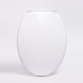 White Plastic Smart Electronic WC Toilet Seat Cover