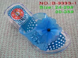 Crystal Slipper