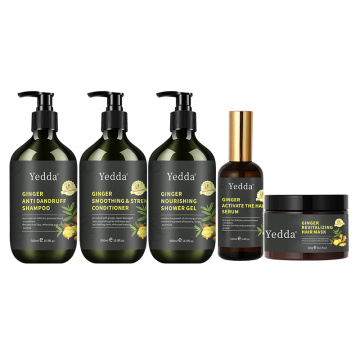 Set di cura dei capelli allo zenzero organico naturale: shampoo, balsamo, maschera, olio ed estratto