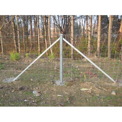 farm animal cattle filed sheep horse mesh fence