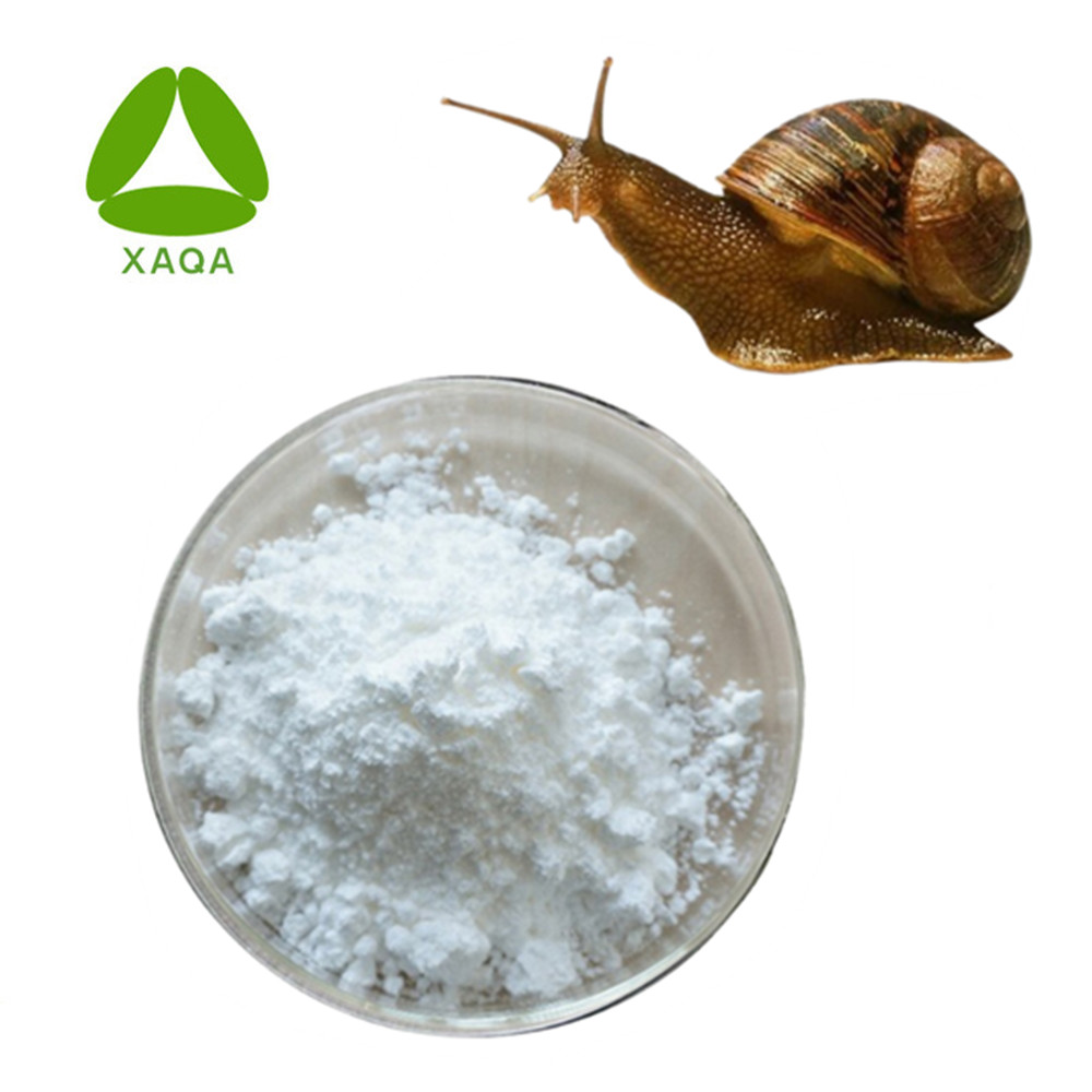 Skin protection Snail Slime Extract Powder