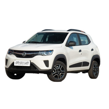 Dongfeng EX1 Pro Mini EV: Popular Electric SUV for Sale Online Globally